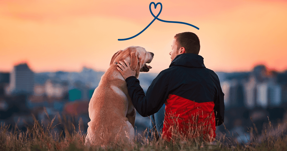 how-to-calm-a-nervous-or-anxious-dog